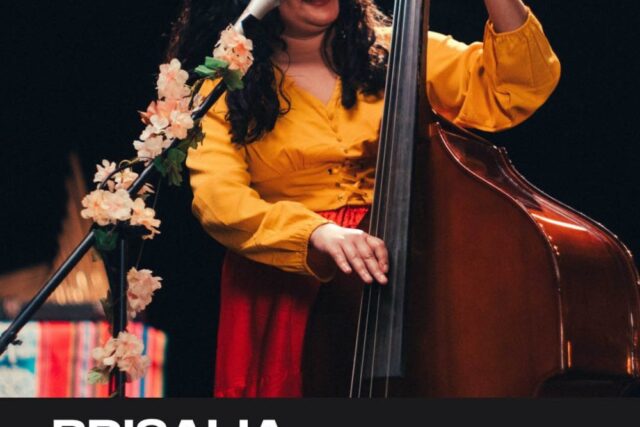 Brisalia: Ciclo de Música en el Camilo Henríquez