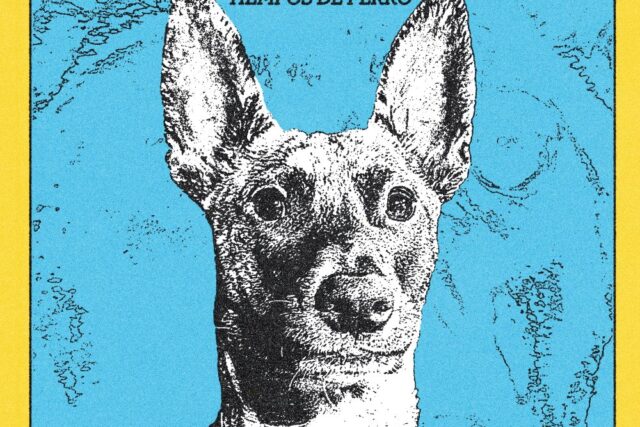 Aniversario Tiempos de Perro