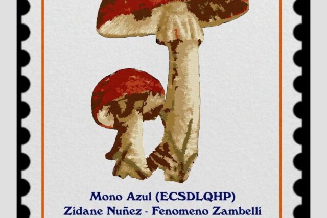 Festival Acustiseta Vol.2