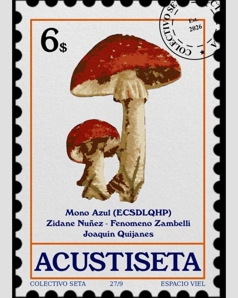 Festival Acustiseta Vol.2
