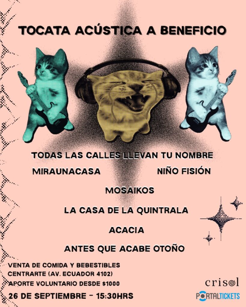 Tocata Acústica A Beneficio