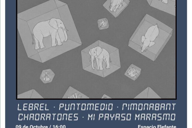 Contacto Alterno