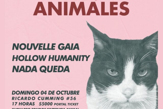 Día Mundial de Lxs Animales
