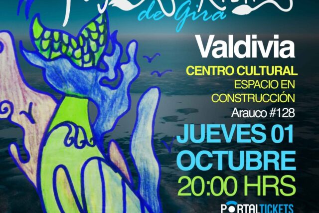 Pájaros Kiltros en Valdivia