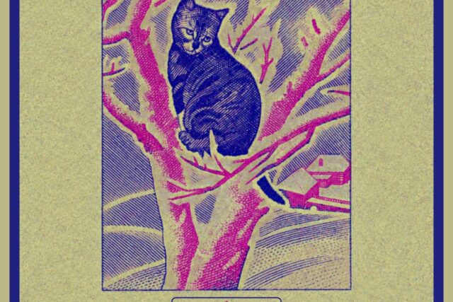 Segunda Asociación de Felinos Cantarines