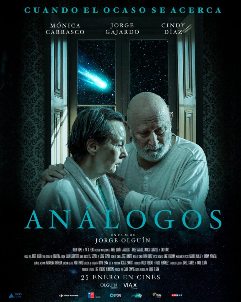 Análogos