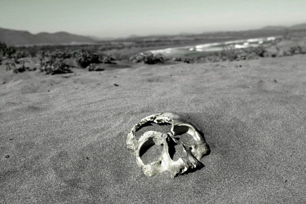 Cocaína negra: la cinta oculta del químico de la DINA llega a FICValdivia