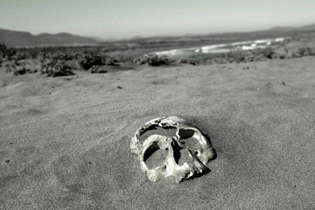 Cocaína negra: la cinta oculta del químico de la DINA llega a FICValdivia