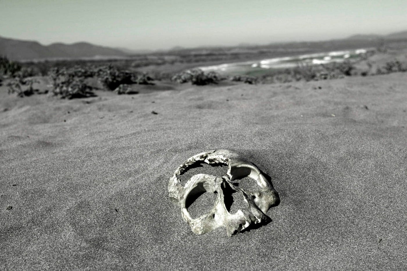 Cocaína negra: la cinta oculta del químico de la DINA llega a FICValdivia