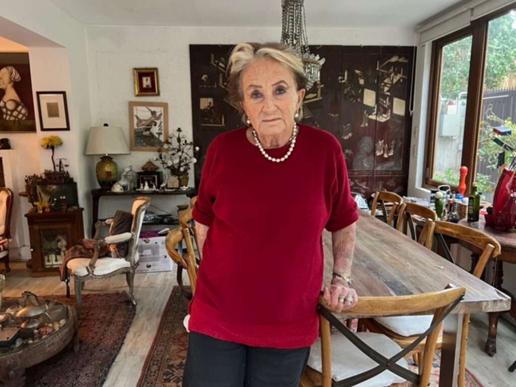 Muere Carmen Aldunate, la pintora de las monas enigmáticas