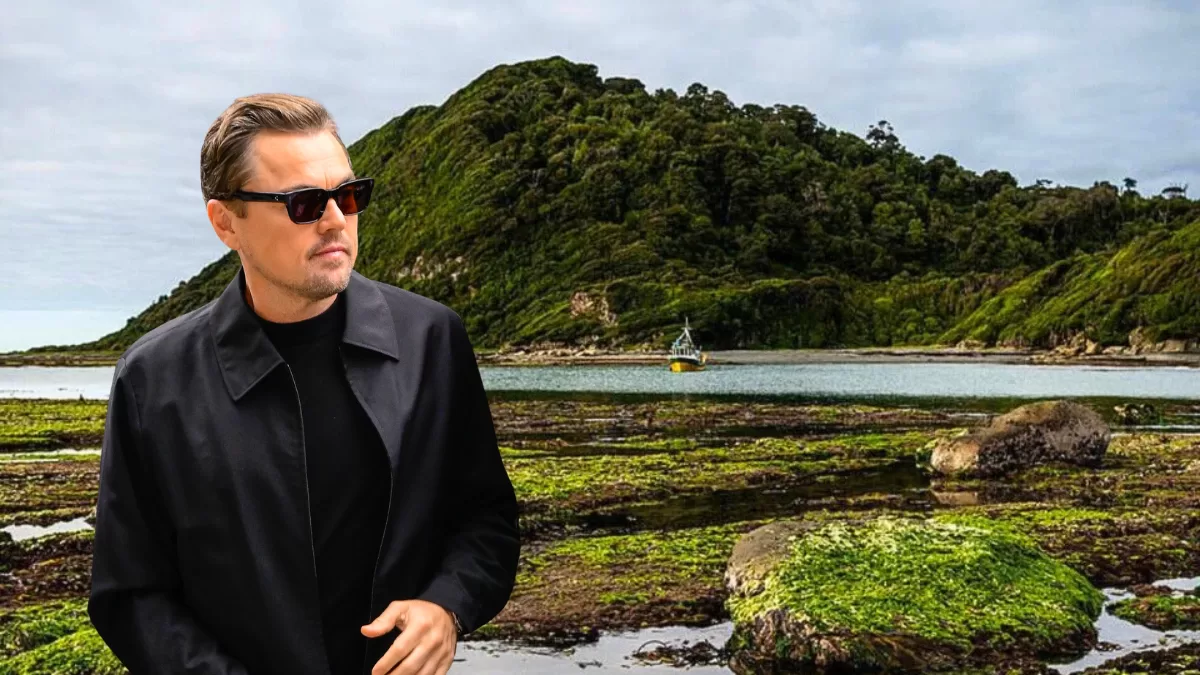 Coalición ligada a Leonardo DiCaprio compra isla Guafo para crear un parque nacional