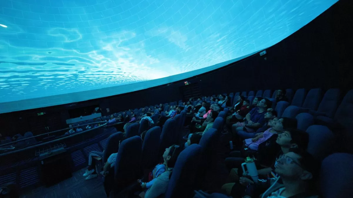 Ciencia y bichos: el panorama familiar que llega al Planetario USACH