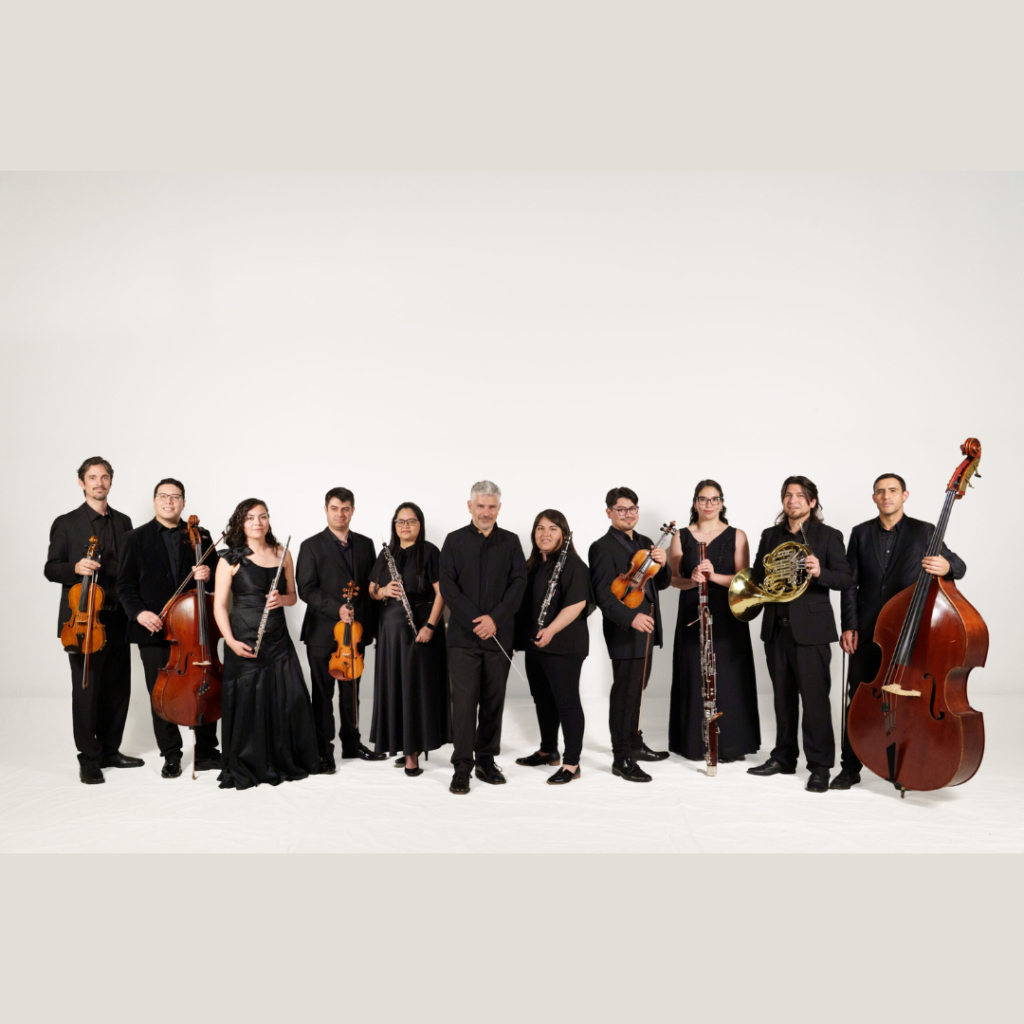 Grandes Invitados: Orquesta de Cámara de Valdivia