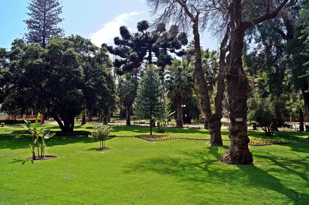 Vista del recinto Quinta Vergara