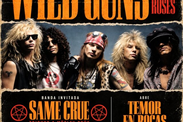 Wild Guns Reunión