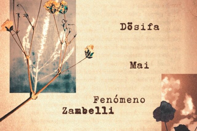 Mono Guitarra + Dösifa + Fenómeno Zambelli + Mai