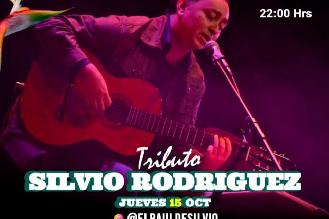 El Baúl de Silvio en Bargardenptomontt