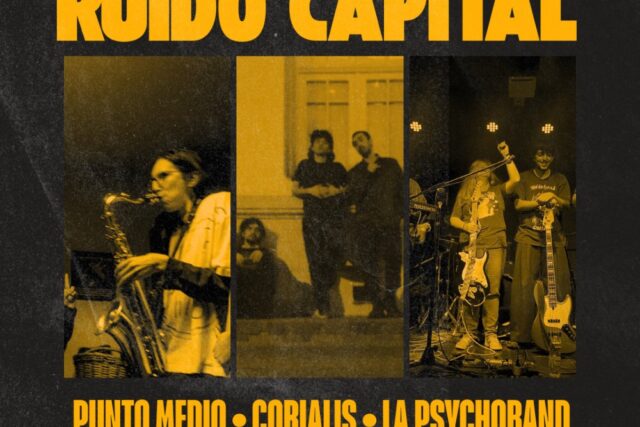 Ruido Capital