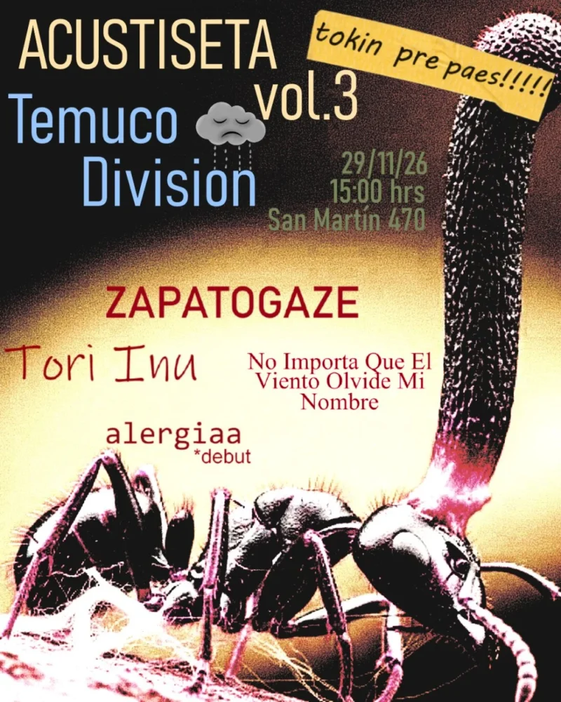 Festival Acustiseta Volumen 3