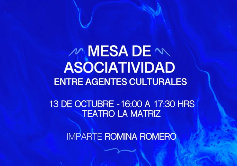 Mesa de Asociatividad entre Agentes Culturales | Romina Romero – Festival Ñuble en Movimiento 2026