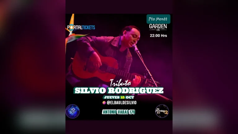 El Baúl de Silvio en Bargardenptomontt