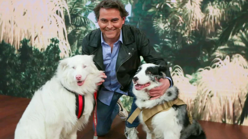 El veterinario Sebastián Jiménez regresa a Mega con ‘Mi humano y yo… Cuidar es amar’