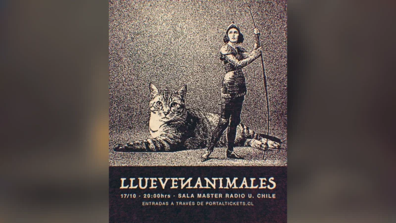 Llueven Animales