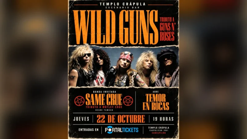 Wild Guns Reunión