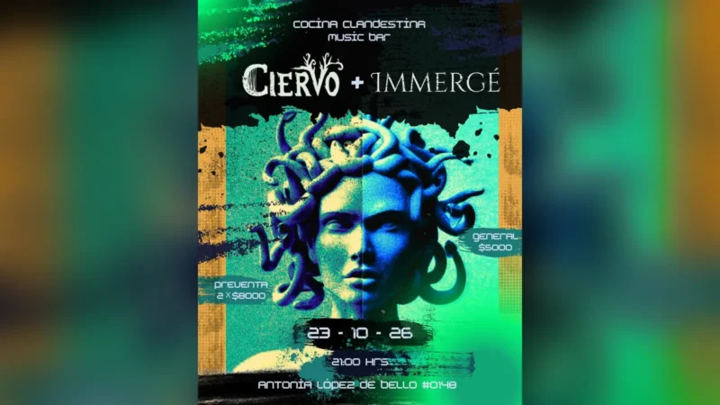 Ciervo + Immergé