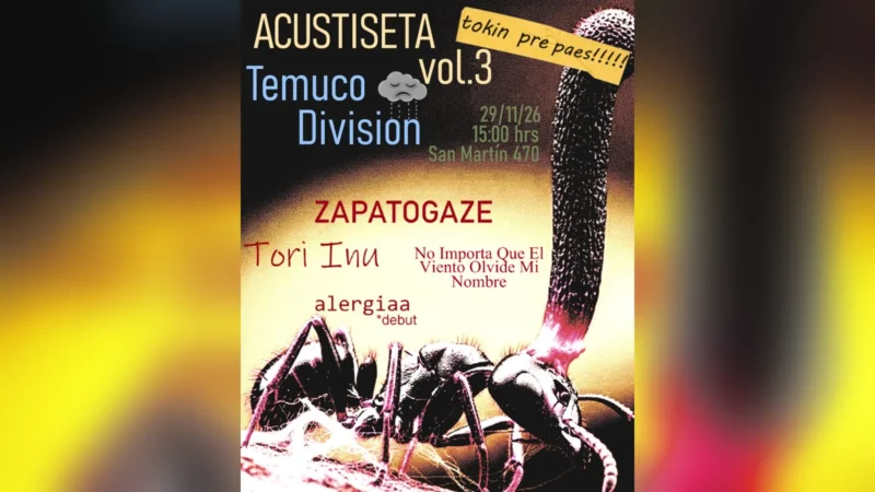 Festival Acustiseta Volumen 3