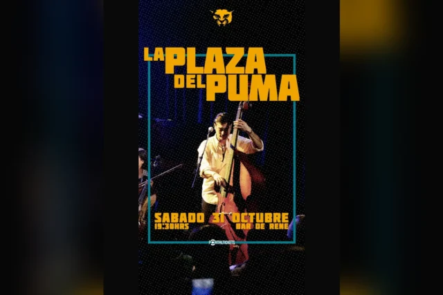 La Plaza del Puma