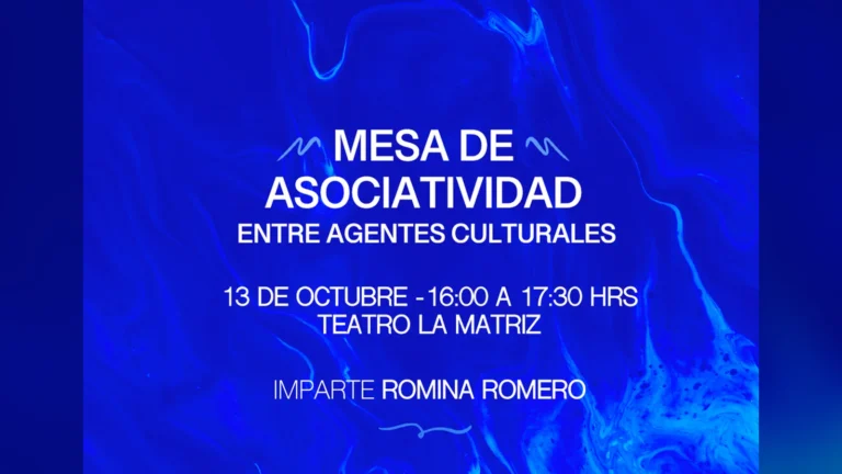 Mesa de Asociatividad entre Agentes Culturales | Romina Romero – Festival Ñuble en Movimiento 2026