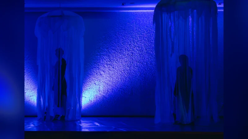 Bajo el agua | Undosa Movimiento – Festival Ñuble en Movimiento 2026