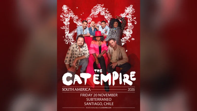 The cat empire